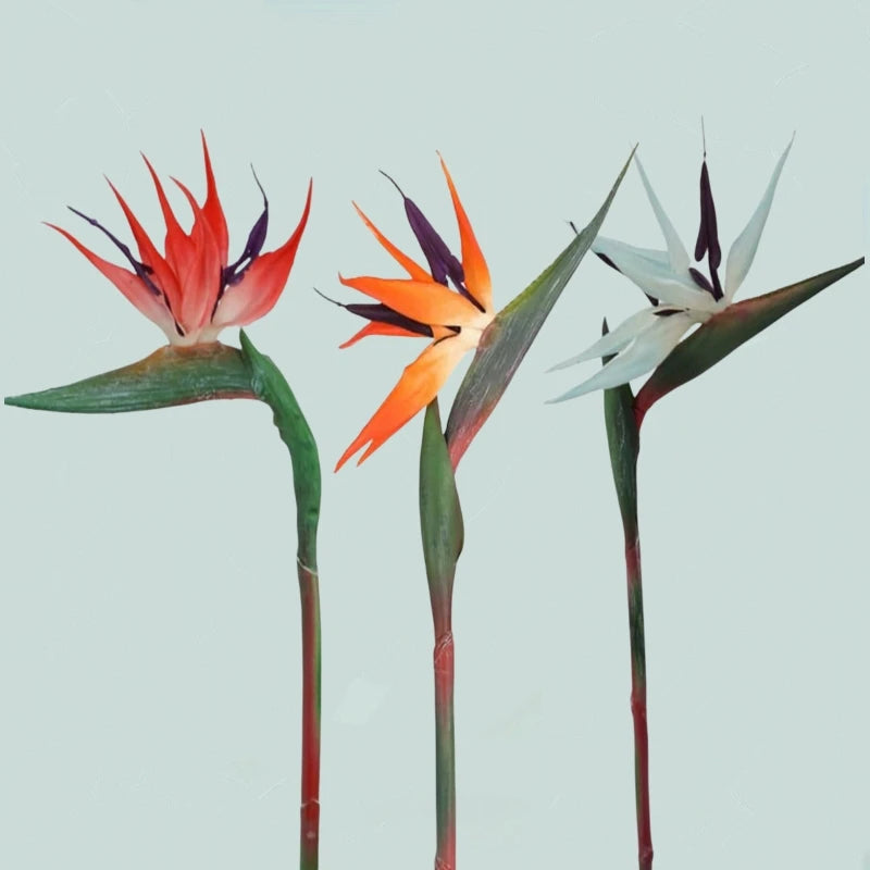 3PCS Artificial Bird of Paradise Flowers – 24.5'' Long Stem Strelitzia Decor